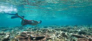 Learn to Snorkel or Scuba Dive