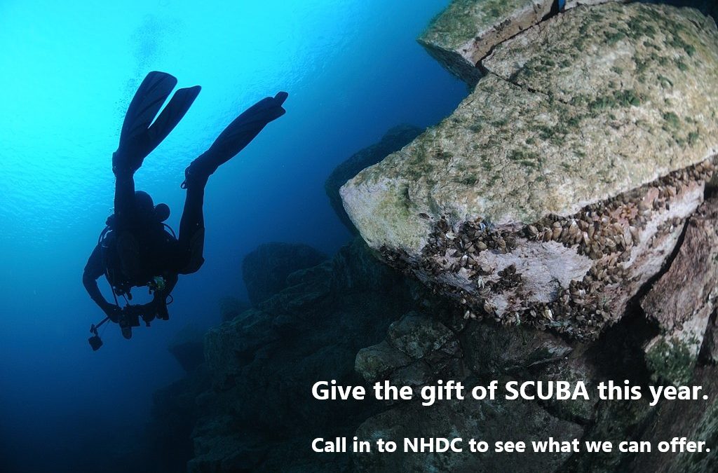 Give the gift of SCUBA this year with NHDC